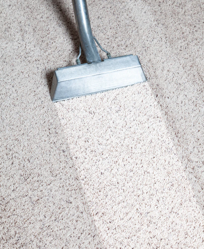 cleaning a dirty carpet